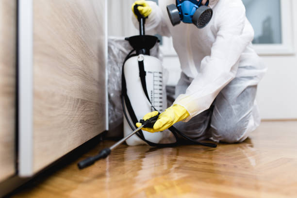 Best Best Pest Control Companies  in Hoyt Lakes, MN