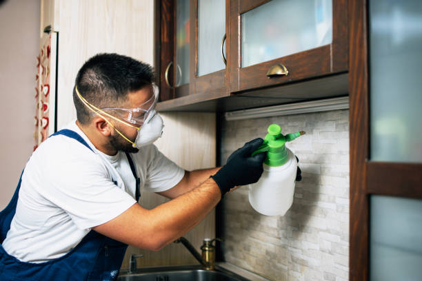 Best Pest Prevention Services  in Hoyt Lakes, MN