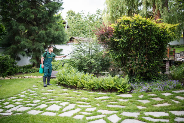 Best Residential Pest Control  in Hoyt Lakes, MN
