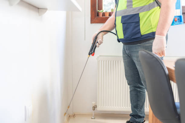 Best Ant Control Services  in Hoyt Lakes, MN