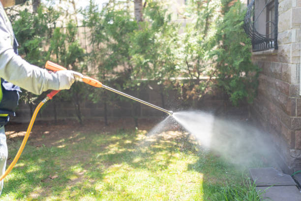Best Mosquito Control Services  in Hoyt Lakes, MN