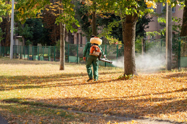 Best Pest Prevention Services  in Hoyt Lakes, MN